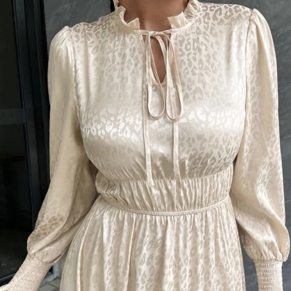 Satin animal print dress - Picture 4 of 5